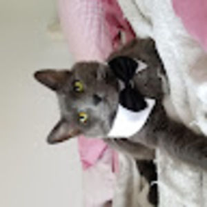 Meet your Posher, Andrew